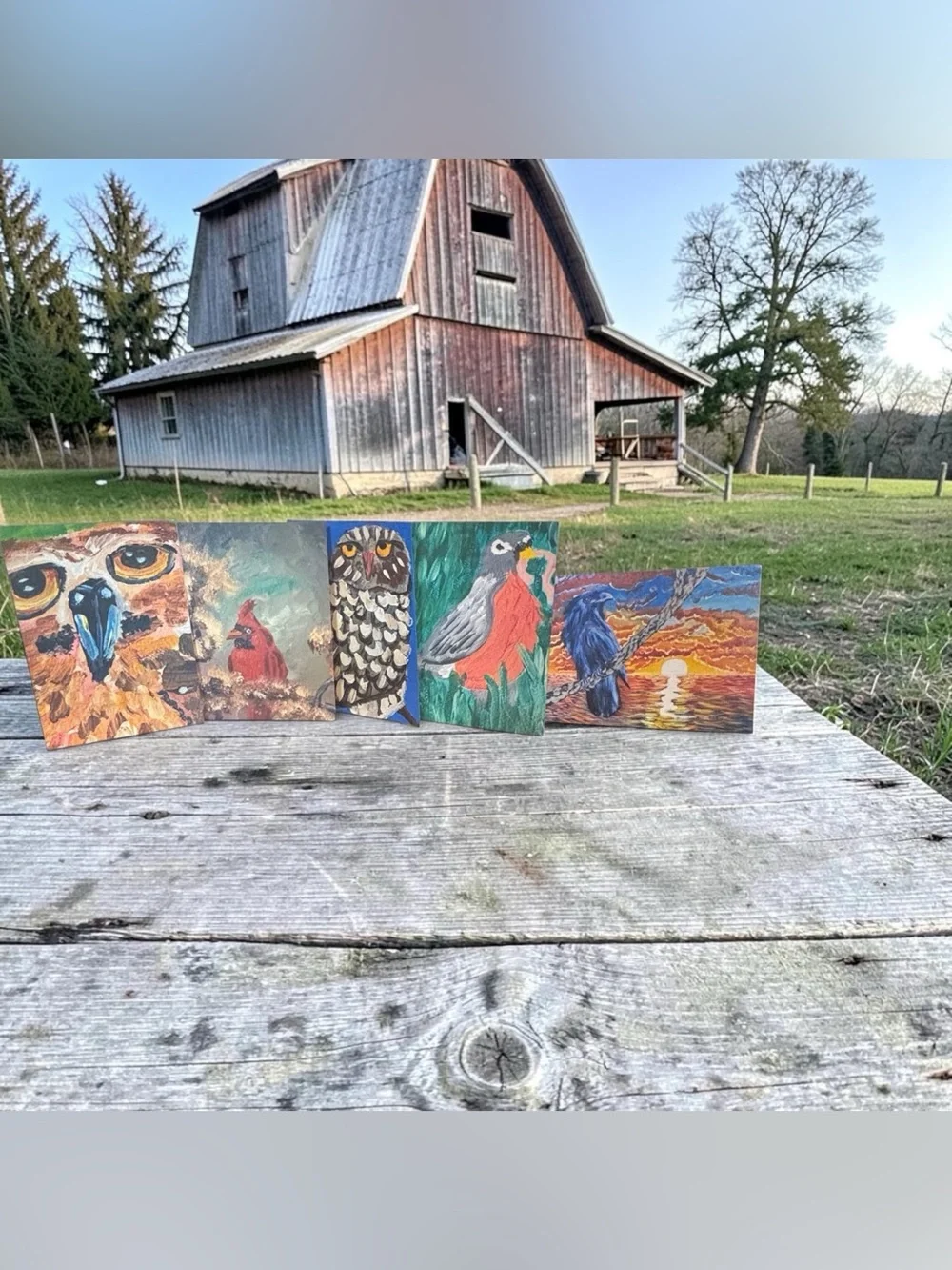 Birds of Wonder Greeting Card Set of 5 by Briefcase Artist